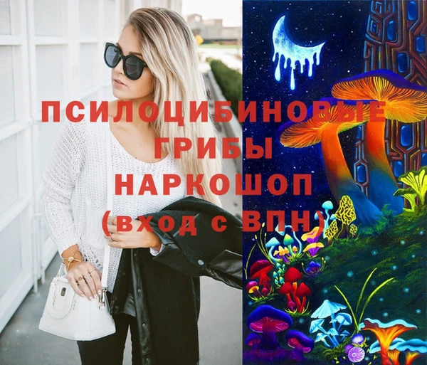 амф Верея