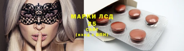 амф Верея