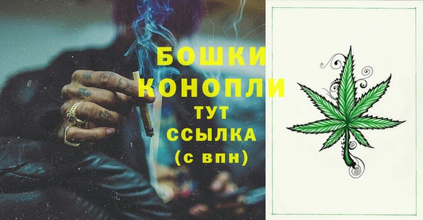 мдпв Горно-Алтайск